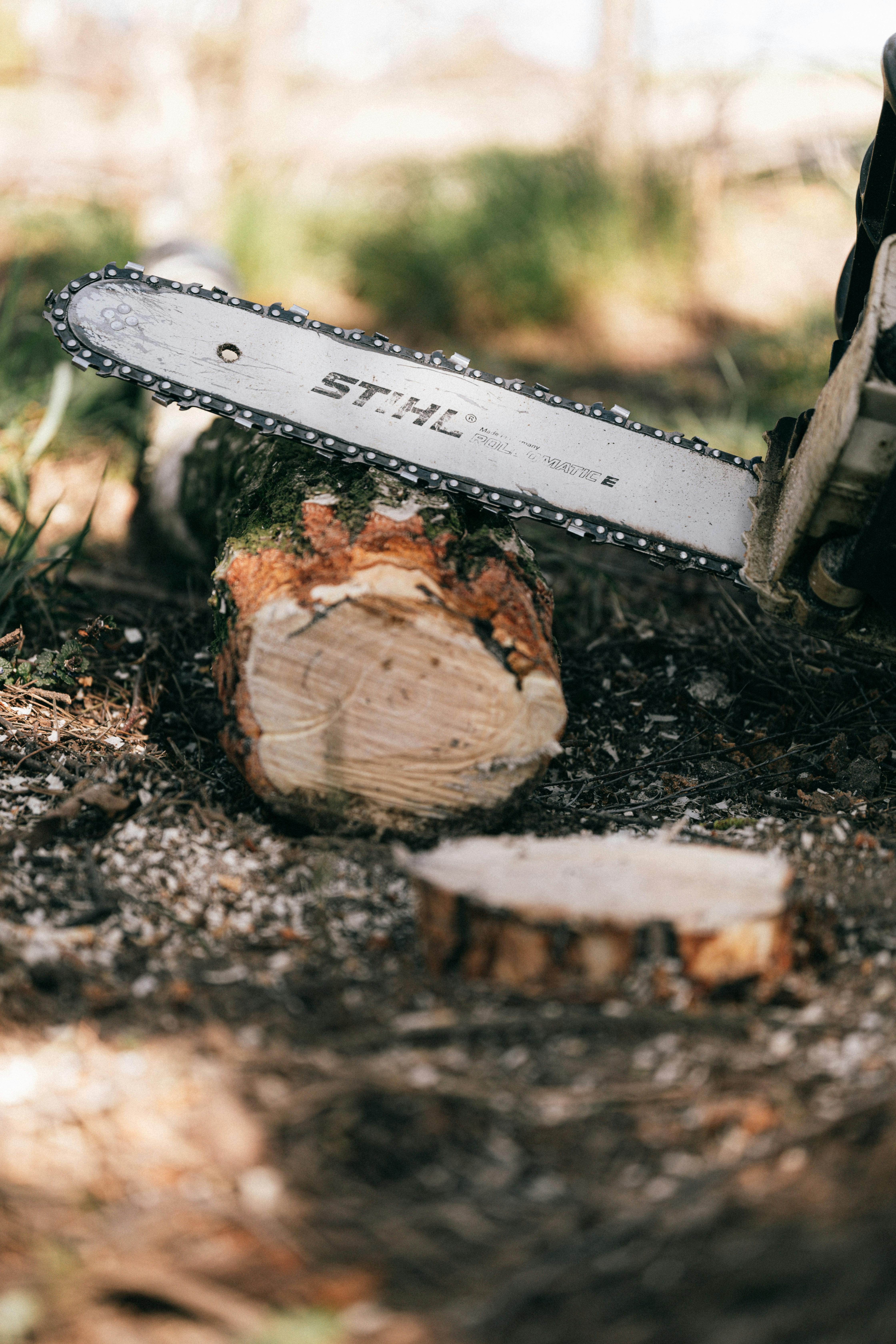 Tipps zum sicheren Schneiden mit der Stihl Akku Kettensäge