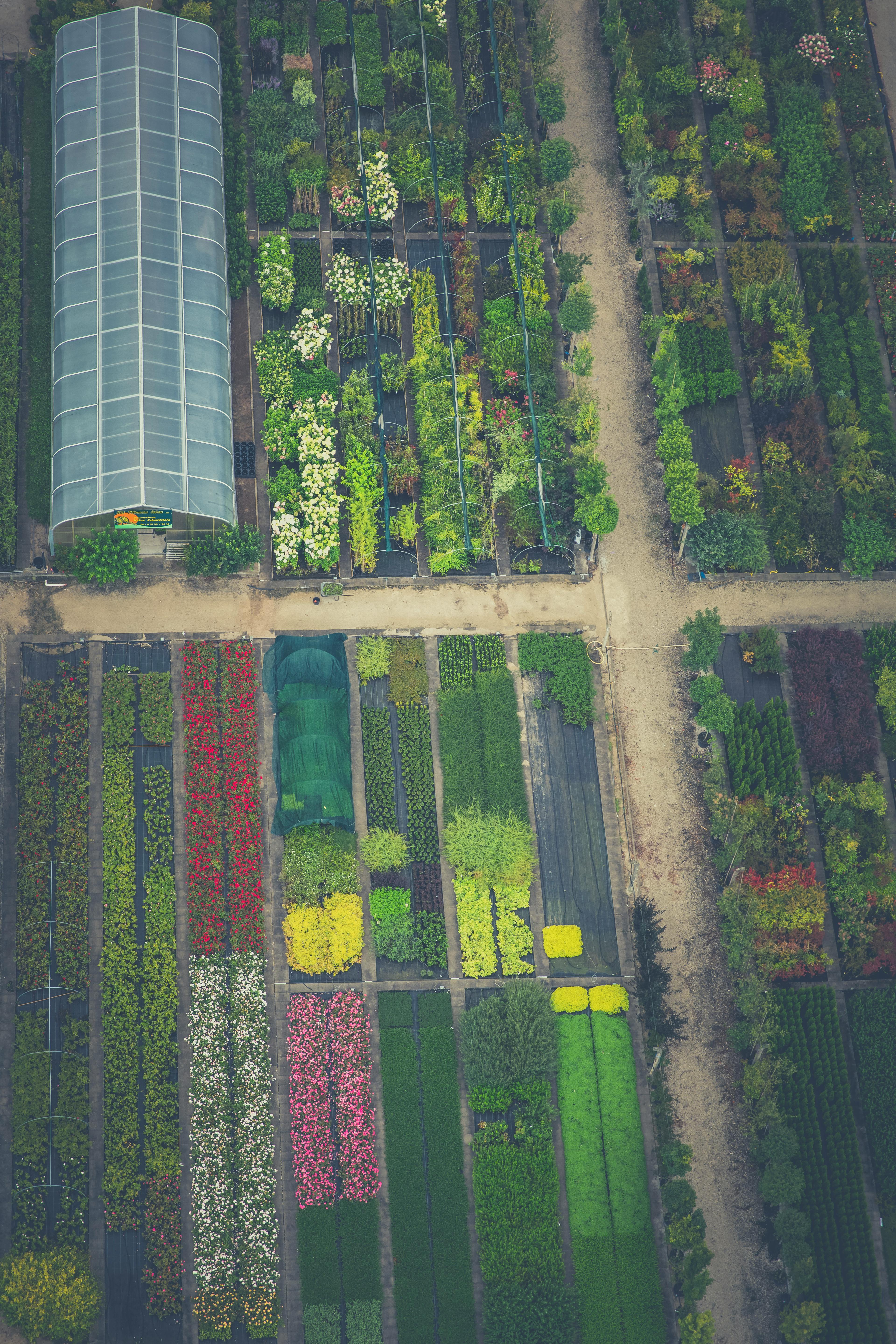 Gartenplanung mit Pflanzen