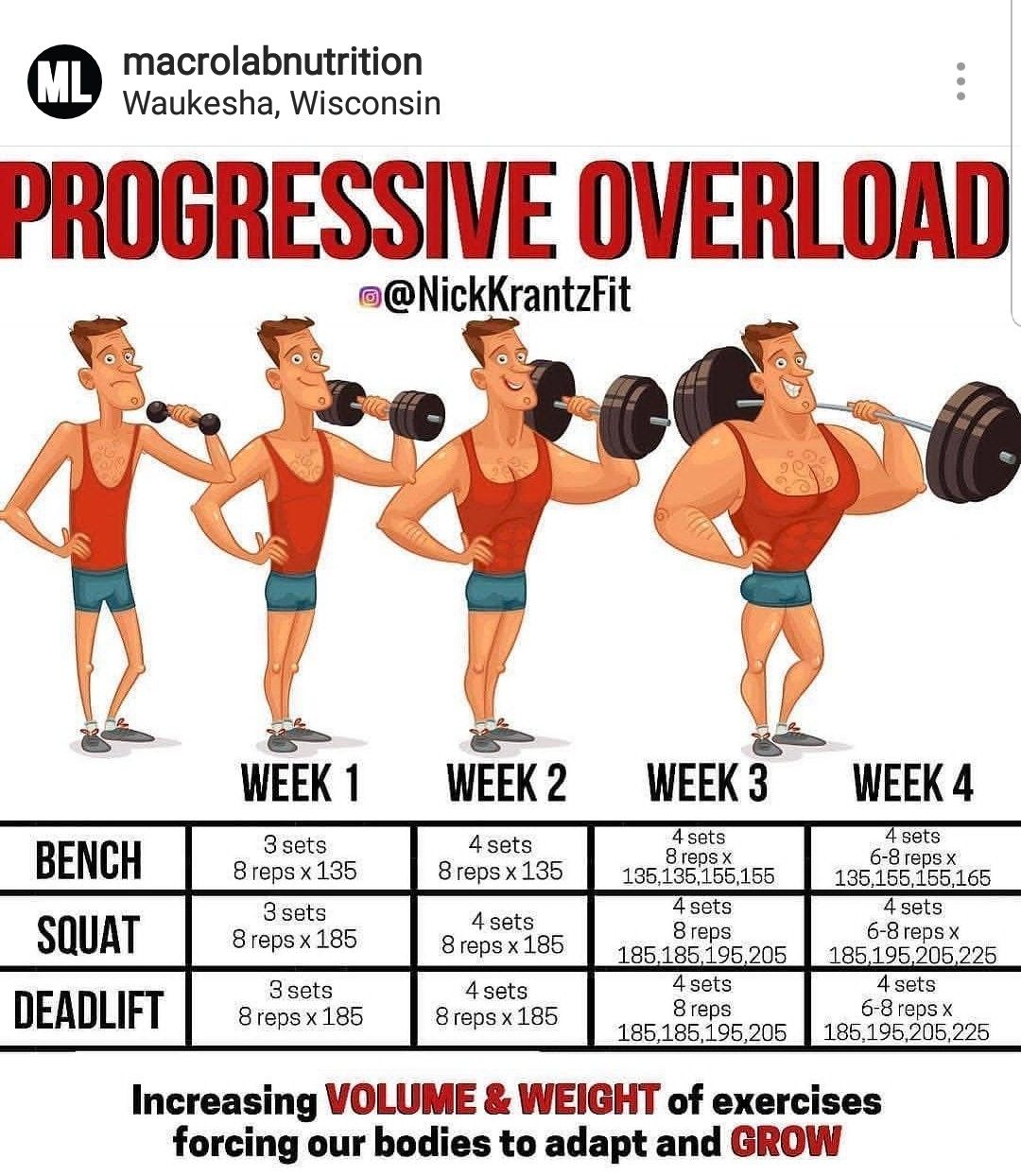 Progressive Overload Example